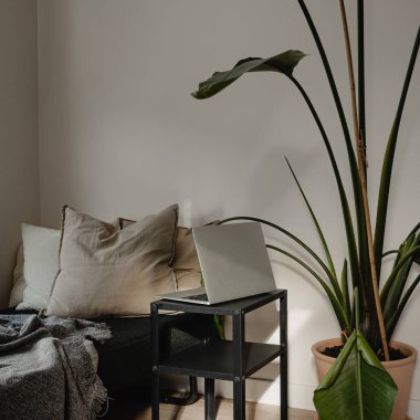 Laptop ve Salon Bitkisi ile Konforlu Oturma Odası