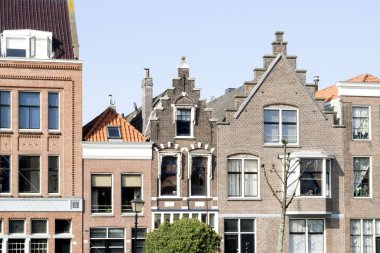 Rotterdam eski liman evlerde. 