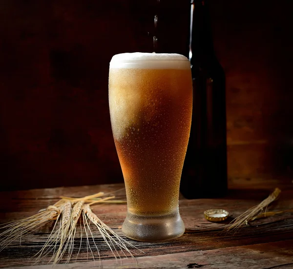 Beer in glass and bottle — Stock Photo © venge.mail.ua 105764396