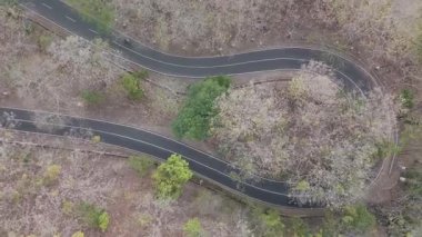 Çeviren Yol 'un Havadan Görünümü İlk Bahar sezonunda Yapraksız Ağaçlarla çevrili