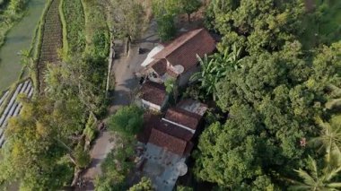 Tropikal bitki örtüsü ve sakin yollarla çevrili yemyeşil pirinç teraslarının çarpıcı hava manzarası