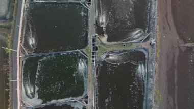 Su Kültürü Göletlerinin Hava Görüntüsü Sürdürülebilir Balık Çiftliğinde Su Yönetimi Tekniklerini Gösteriyor