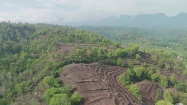 Bali 'de Bereketli Topraklar ve Yuvarlanan Tepeler' in Sersemletici Hava Görüntüsü