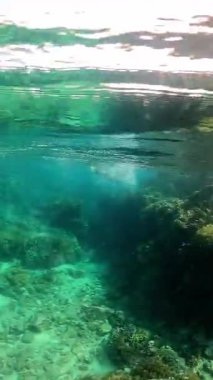 İnanılmaz Sualtı Macerası: Canlı Mercan Resifleri ve Deniz Yaşamı Şnorkelli Keşfi