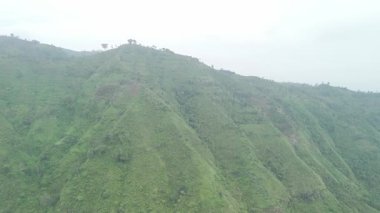 Canlı bitki örtüsü ve dingin atmosferli yemyeşil tepelerin nefes kesici hava manzarası