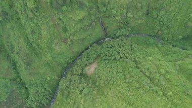 Etrafı yoğun yeşilliklerle çevrili, Yeşil Yeşil Akımın Hava Görünümü