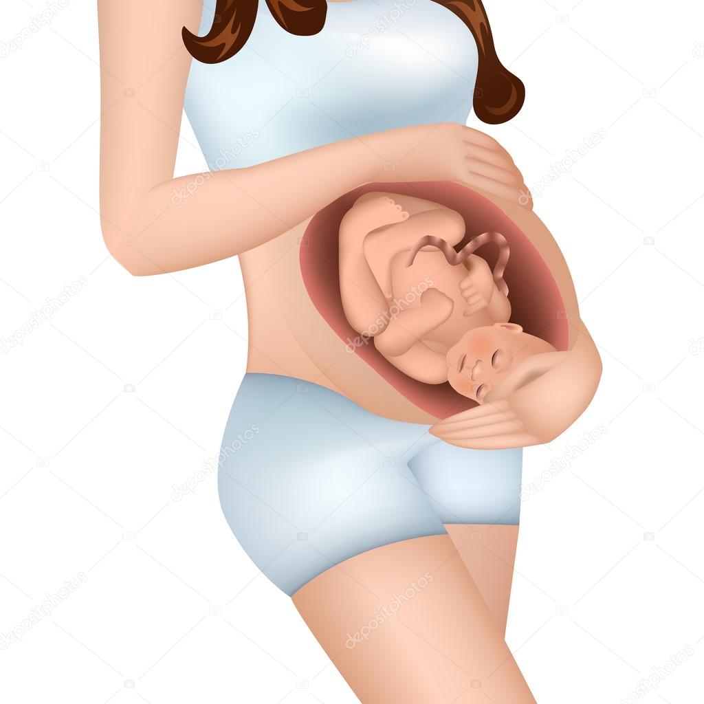 Pregnant woman with a child in her womb.
