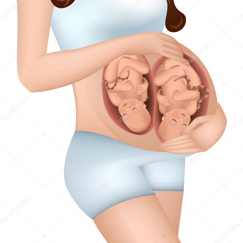 Pregnant woman with twins in her womb.