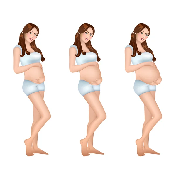 Gravid kvinna i trimestern fortsätta 9 månader. Graviditet-informationsgrafik. — Stock vektor