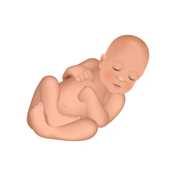 Mignon bébé nouveau-né. Grossesse et naissance. — Image vectorielle