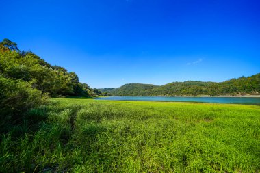 Edersee manzarası ve gölün çevresindeki doğa. Edertal Manzarası.