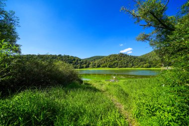 Edersee manzarası ve gölün çevresindeki doğa. Harbshausen yakınlarındaki Edertal 'de manzara.