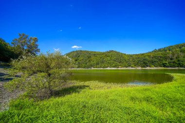 Edersee manzarası ve gölün çevresindeki doğa. Harbshausen yakınlarındaki Edertal 'de manzara.