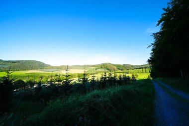 Sauerland 'deki Oberhenneborn yakınlarındaki yeşil manzaranın görüntüsü. Doğa yürüyüşü yolları.