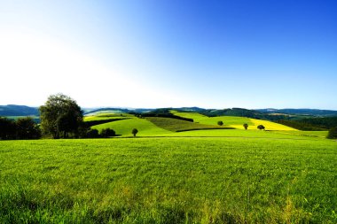 Sauerland 'deki Oberhenneborn yakınlarındaki yeşil manzaranın görüntüsü. Doğa yürüyüşü yolları.
