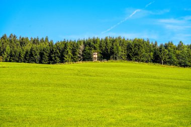 Sauerland 'deki Oberhenneborn yakınlarındaki yeşil manzaranın görüntüsü. Doğa yürüyüşü yolları.