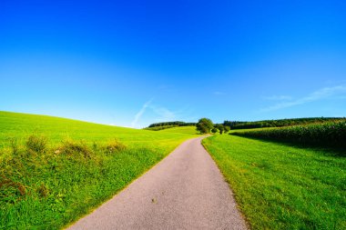 Sauerland 'deki Oberhenneborn yakınlarındaki yeşil manzaranın görüntüsü. Doğa yürüyüşü yolları.