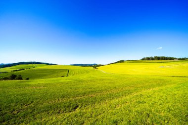 Sauerland 'deki Oberhenneborn yakınlarındaki yeşil manzaranın görüntüsü. Doğa yürüyüşü yolları.