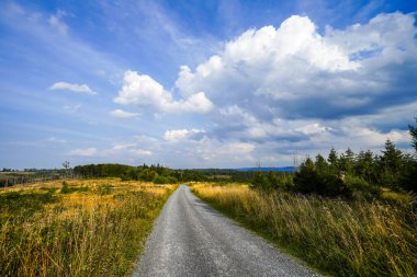 Meschede yakınlarındaki Loermecke kulesinde manzara. Sauerland 'de Doğa.