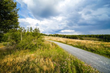 Meschede yakınlarındaki Loermecke kulesinde manzara. Sauerland 'de Doğa.
