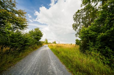 Meschede yakınlarındaki Loermecke kulesinde manzara. Sauerland 'de Doğa.