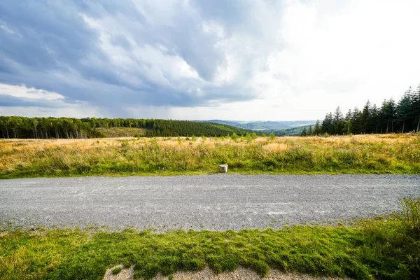 Meschede yakınlarındaki Loermecke kulesinde manzara. Sauerland 'de Doğa.