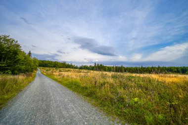 Meschede yakınlarındaki Loermecke kulesinde manzara. Sauerland 'de Doğa.