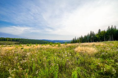 Meschede yakınlarındaki Loermecke kulesinde manzara. Sauerland 'de Doğa.