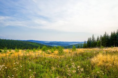 Meschede yakınlarındaki Loermecke kulesinde manzara. Sauerland 'de Doğa.