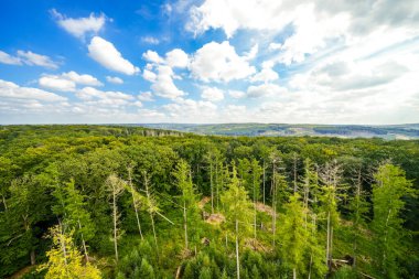 Çevredeki yeşil manzaranın Moehnesee 'deki gözlem kulesinden görüntü. Moehnesee 'de Doğa.