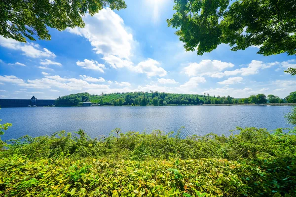 Moehnesee 'deki tazminat havuzunun manzarası..