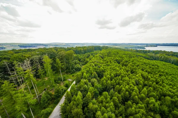 Çevredeki yeşil manzaranın Moehnesee 'deki gözlem kulesinden görüntü. Moehnesee 'de Doğa.