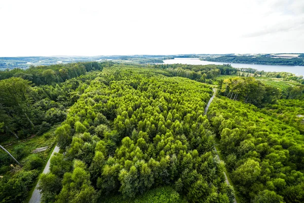 Çevredeki yeşil manzaranın Moehnesee 'deki gözlem kulesinden görüntü. Moehnesee 'de Doğa.