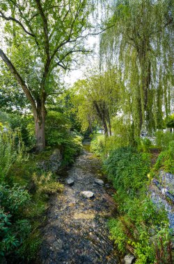 Olsberg 'in şehir merkezinde doğayla çevrili bir deresi olan bir park..