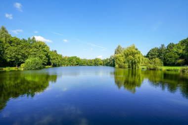 Bad Wuennenberg 'deki spa parkındaki kürek göleti manzarası. Şehirde dinlenme alanı.