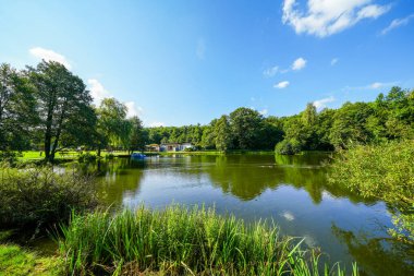Bad Wuennenberg 'deki spa parkındaki kürek göleti manzarası. Şehirde dinlenme alanı.