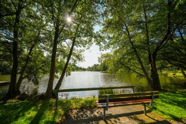 Bad Wuennenberg 'deki spa parkındaki kürek göleti manzarası. Şehirde dinlenme alanı.
