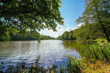 Bad Wuennenberg 'deki spa parkındaki kürek göleti manzarası. Şehirde dinlenme alanı.