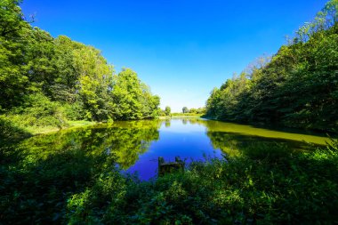 Lichtenfels yakınlarındaki Schaaken deresinin manzarası. Çevresini çevreleyen küçük gölet.
