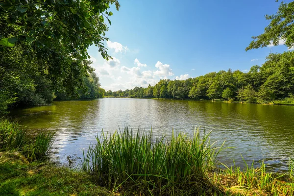Bad Wuennenberg 'deki spa parkındaki kürek göleti manzarası. Şehirde dinlenme alanı.
