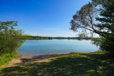 Hesse 'deki Borken yakınlarındaki Singliser See manzarası. Yapay gölde doğa..