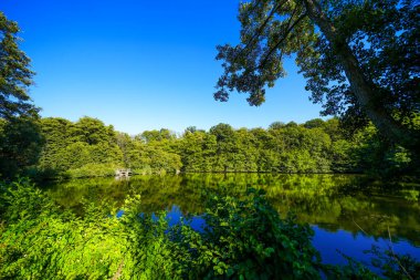 Bad Wildungen yakınlarında etrafı sarılmış bir Sonderteich. Göl kenarındaki manzara.