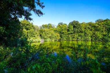 Bad Wildungen yakınlarında etrafı sarılmış bir Sonderteich. Göl kenarındaki manzara.