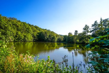 Bad Wildungen yakınlarında etrafı sarılmış bir Sonderteich. Göl kenarındaki manzara.