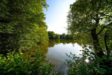 Bad Wildungen yakınlarında etrafı sarılmış bir Sonderteich. Göl kenarındaki manzara.