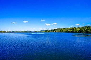 Sorpe Gölü ve çevre manzarası. Arnsberg yakınlarındaki Sorpe Barajı 'nda Doğa.