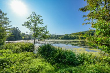 Keddinghausen yakınlarındaki rezervuarın ve çevrenin manzarası. Bueren yakınlarındaki göl manzarası. Keddinghaeuser Gölü.