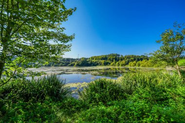 Keddinghausen yakınlarındaki rezervuarın ve çevrenin manzarası. Bueren yakınlarındaki göl manzarası. Keddinghaeuser Gölü.