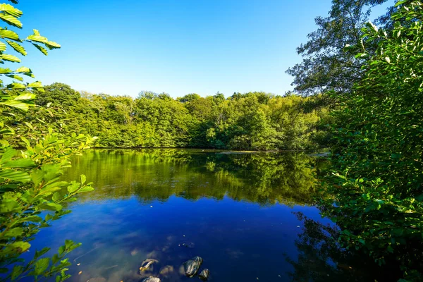 Bad Wildungen yakınlarında etrafı sarılmış bir Sonderteich. Göl kenarındaki manzara.