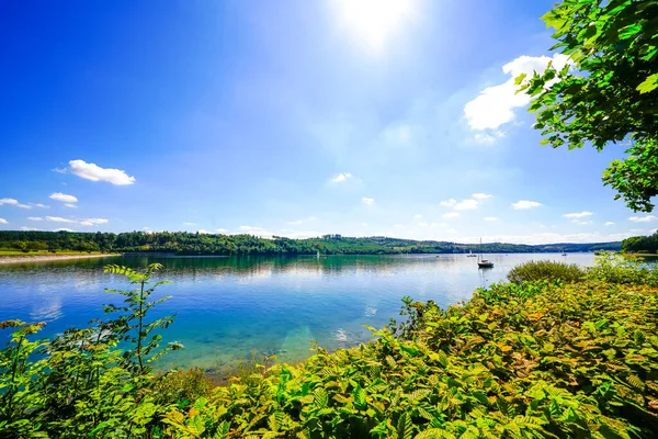 Sorpe Gölü ve çevre manzarası. Arnsberg yakınlarındaki Sorpe Barajı 'nda Doğa.